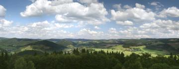 Hotelek Neuastenbergben