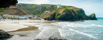 Holiday Homes in Llangranog