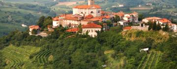 Cottages in Šmartno