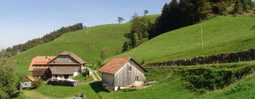 Hôtels avec parking à Hergiswil