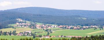 Günstige Hotels in Ursensollen