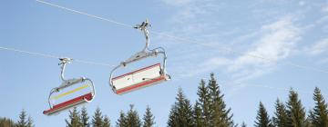 Resorts de esquí en Bichlbach