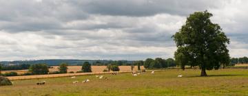 Châteauneuf-sur-Sarthe şehrindeki otoparklar