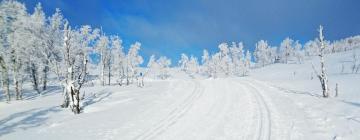 Hoteles con parking en Åmot