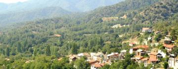 Hoteles en Troodos