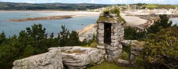 Hoteles que aceptan mascotas en Marazion