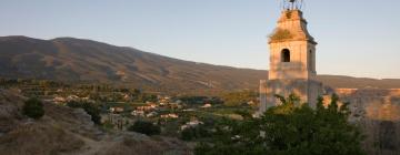 Holiday Homes in Bédoin