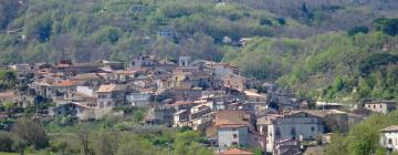 Pet-Friendly Hotels in Davoli