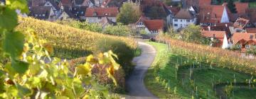 Apartments in Osthofen