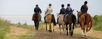 Beach rentals in Insel Neuwerk