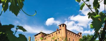 Bed & breakfast a Grinzane Cavour