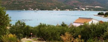 Vacation Rentals in Brijesta