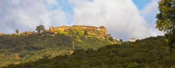 Alojamientos con cocina en Castellar