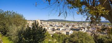 Cabanes i cottages a Sant Joan