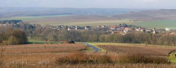 Lägenheter i Villers-Allerand