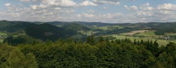 Ski Resorts in Assinghausen