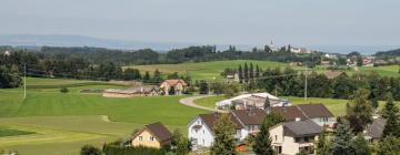 Hoteles con estacionamiento en Waldkirch