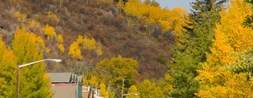 Pet-Friendly Hotels in Minturn