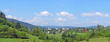 Hoteluri în Crni Lug