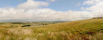 Bed and breakfasts a Lanchester