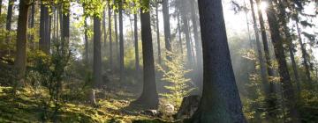 Geisfeld şehrindeki otoparklar