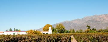 Boutique Hotels in Cafayate