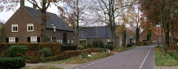 Vakantiewoningen in Ruinen