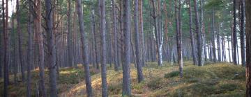 Hotely s parkovaním v destinácii Jaunmārupe