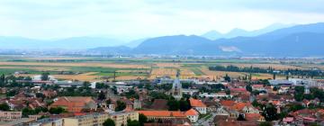 Guest Houses in Codlea