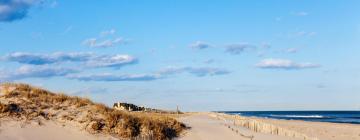 Hytter i Westhampton Beach