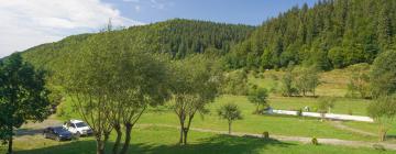 Cabañas y casas de campo en Sicasău