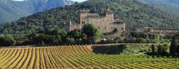 Hotels familiars a Vimbodí i Poblet