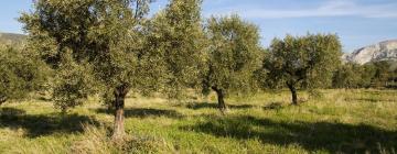 מקומות אירוח ביתיים בMas blanc des Alpilles