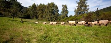 Parkolóval rendelkező hotelek Eppenbrunnban