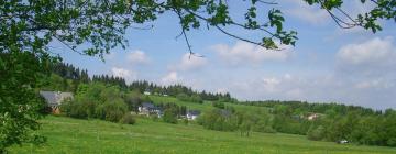 Vacation Rentals in Schellerhau