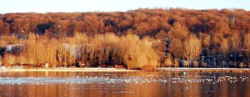 Proprietăți de vacanță aproape de plajă în Auchy-la-Montagne