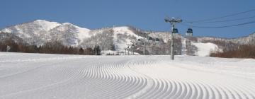 Hotels in Furano