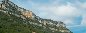 Alquileres temporarios en Olocau del Rey