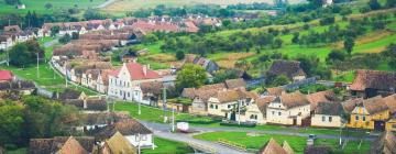 Family Hotels in Criţ