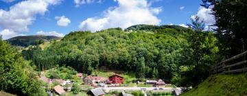 Guest Houses in Răchiţele