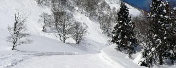 Alojamientos con onsen en Yuzawa