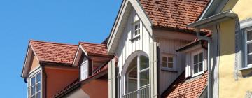 Apartments in Wangen