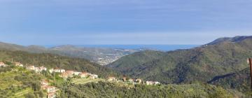 Holiday Rentals in Stellanello