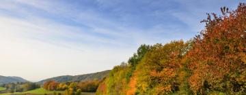 Hotels mit Parkplatz in Ringheim