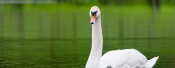 Villegusien Le Lac şehrindeki otoparklar