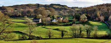 Cabañas en Winster