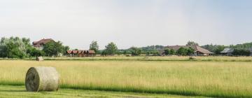 Parkolóval rendelkező hotelek Tiszaszőlősön