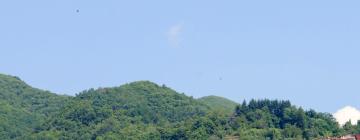 Cottages in Pescaglia