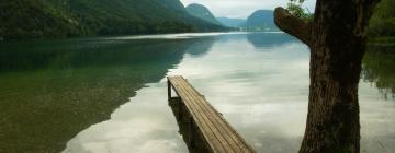 Hotels with Parking in Bohinjska Bistrica