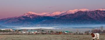 Помешкання для відпустки у місті Los Molinos